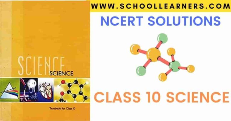 Ncert Solutions For Class 10 Science - Schoollearners